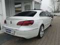 Volkswagen Passat CC V6 4Motion Aut. Leder Xenon Glasdach Blanc - thumbnail 5