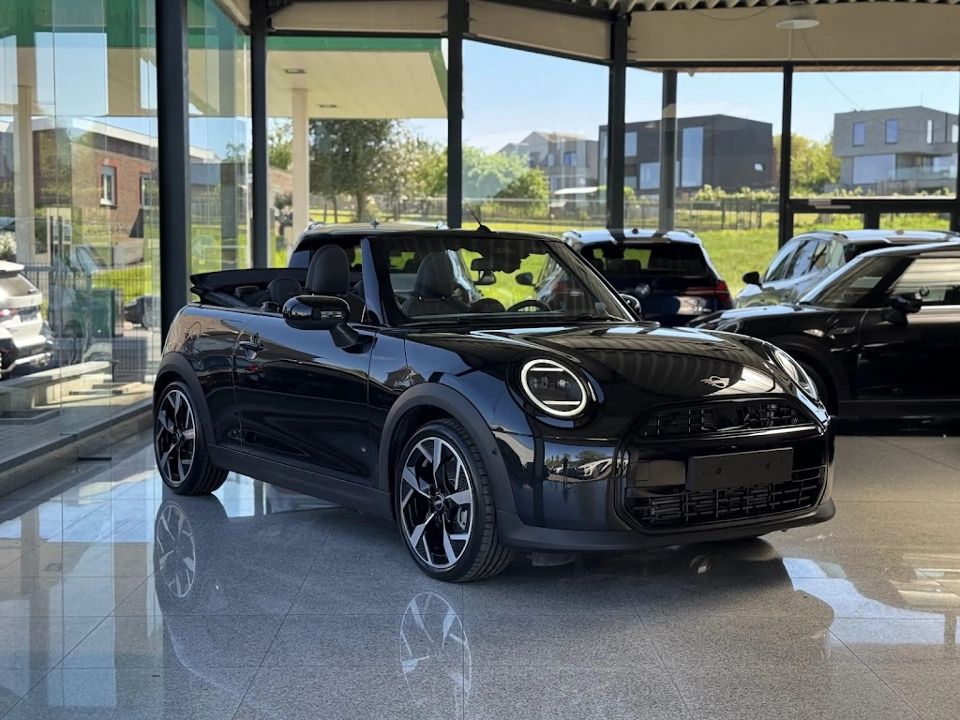 MINI Cooper C Cabrio Cabrio / HUD / H-K / KEYL / CAM / VERW ZET + STUUR — photo 8