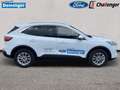 Ford Kuga 2.5 Duratec Plug-In Hybrid Titanium Autom. NAVI/DA Weiß - thumbnail 8