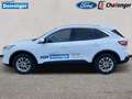 Ford Kuga 2.5 Duratec Plug-In Hybrid Titanium Autom. NAVI/DA Weiß - thumbnail 5