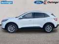 Ford Kuga 2.5 Duratec Plug-In Hybrid Titanium Autom. NAVI/DA Weiß - thumbnail 3
