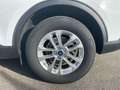 Ford Kuga 2.5 Duratec Plug-In Hybrid Titanium Autom. NAVI/DA Weiß - thumbnail 10