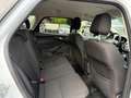 Ford Focus Turnier Business Weiß - thumbnail 14