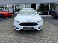 Ford Focus Turnier Business Weiß - thumbnail 1