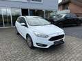 Ford Focus Turnier Business Weiß - thumbnail 2