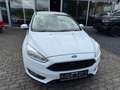 Ford Focus Turnier Business Weiß - thumbnail 3