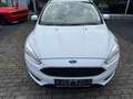 Ford Focus Turnier Business Weiß - thumbnail 6