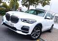 BMW X5 xDrive 45e xLine Blanco - thumbnail 9