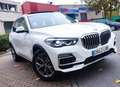 BMW X5 xDrive 45e xLine Blanco - thumbnail 4