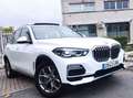 BMW X5 xDrive 45e xLine Blanco - thumbnail 12