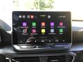 SEAT Leon SP 1,5 TSI Style Edition        8-fach bereift! Grau - thumbnail 21