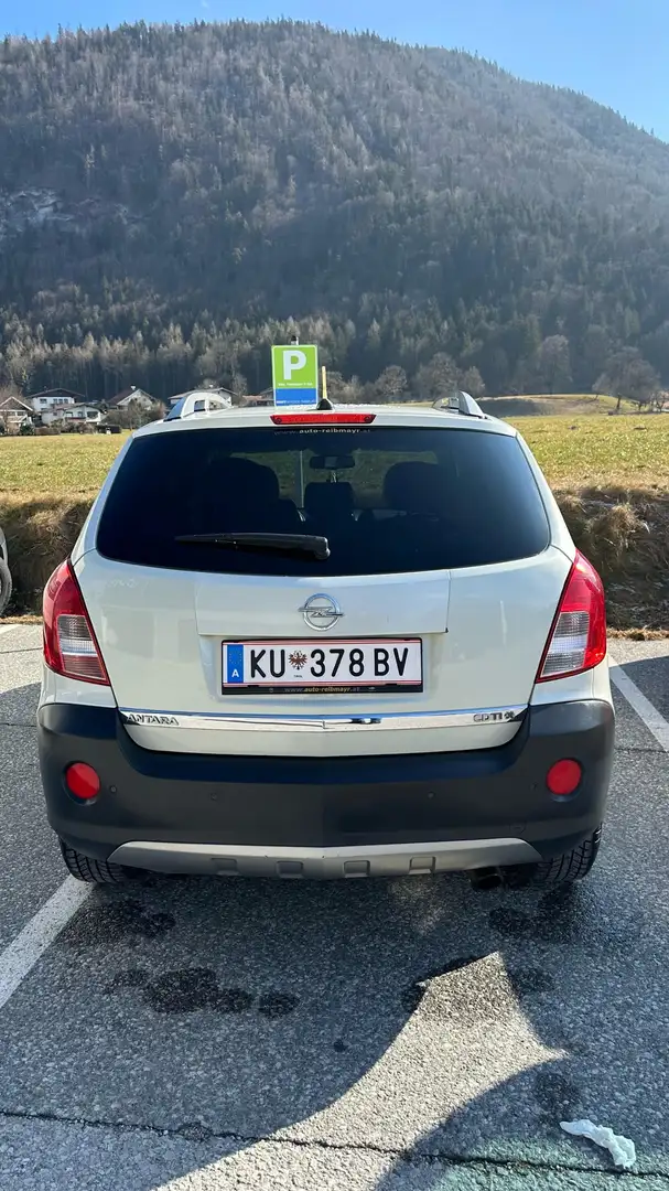 Opel Antara Weiß - 2