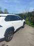 Toyota RAV 4 Rav4 2.5 vvt-ie h Dynamic 2wd 218cv e-cvt - thumbnail 7