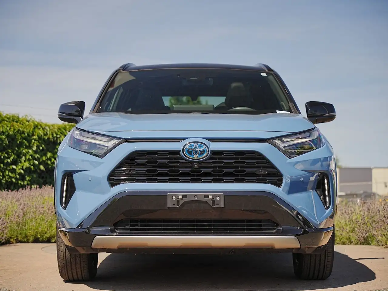 Toyota RAV 4 fotografie Toyota RAV 4