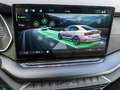Skoda Octavia RS 2.0 TSI DSG AHK, Standheizung Verde - thumbnail 15