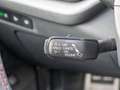Skoda Octavia RS 2.0 TSI DSG AHK, Standheizung Verde - thumbnail 20