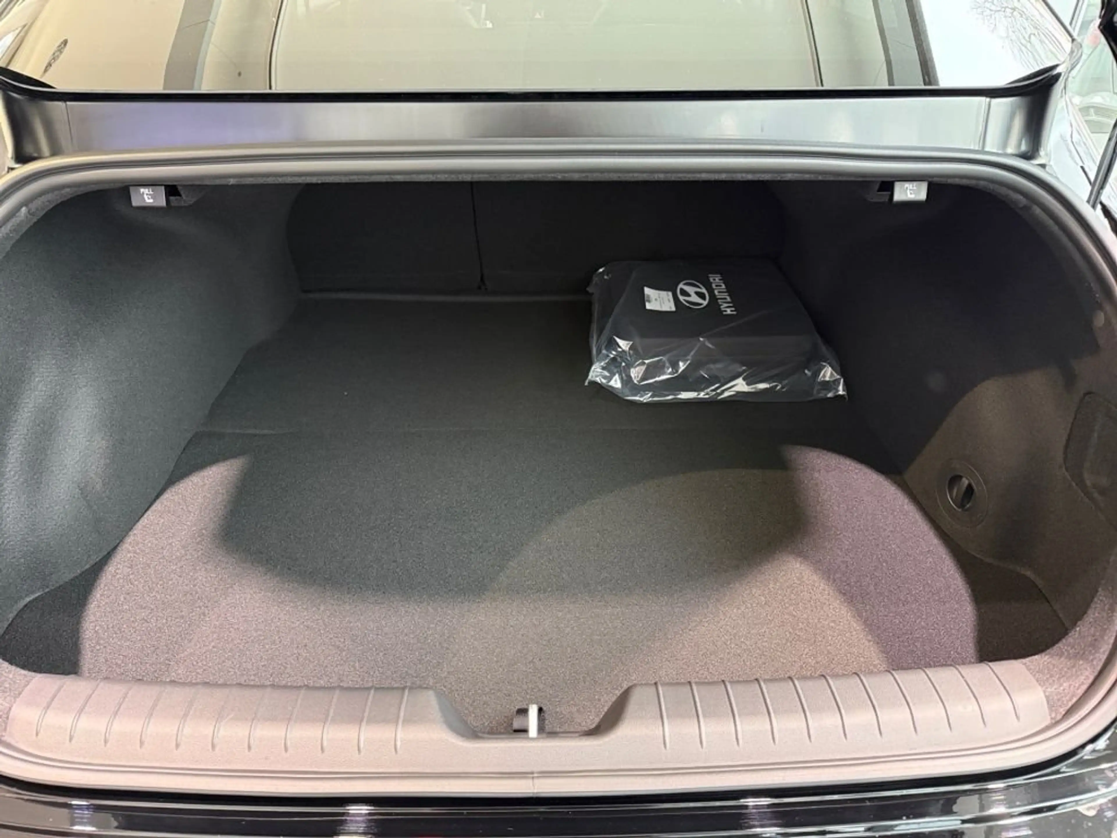 Hyundai IONIQ 6 84 kWh 4WD N Line — photo 12
