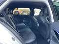 Mercedes-Benz E 300 e T AMG Line Advanced *19Zoll*AHK*MBUX* Weiß - thumbnail 20