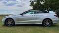 Mercedes-Benz E 500 E 500 Cabrio 7G-TRONIC Argintiu - thumbnail 1