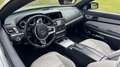 Mercedes-Benz E 500 E 500 Cabrio 7G-TRONIC Argintiu - thumbnail 7