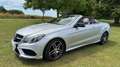 Mercedes-Benz E 500 E 500 Cabrio 7G-TRONIC Argintiu - thumbnail 6
