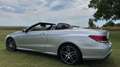 Mercedes-Benz E 500 E 500 Cabrio 7G-TRONIC Argintiu - thumbnail 4