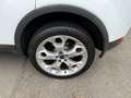 Ford Kuga Titanium 4X4 ALLRAD#AHK#TOP ZUSTAND# Blanc - thumbnail 17