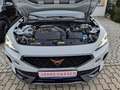 CUPRA Formentor 1,5 DSG/LED/ACC/NAVI/KAMERA Weiß - thumbnail 20