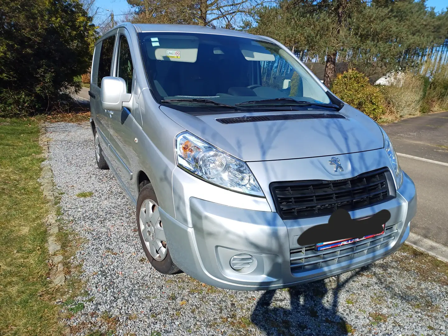 Peugeot Expert Expert+HDI+110+lang+verglast Argent - 2