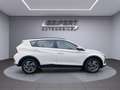 Hyundai BAYON 1.0 T-GDi 100PS I TREND I NAVI I LED I RFK I UVM. Wit - thumbnail 6