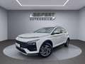 Hyundai BAYON 1.0 T-GDi 100PS I TREND I NAVI I LED I RFK I UVM. Wit - thumbnail 1