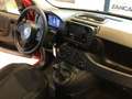 Fiat Panda S9 1.0 Hybrid Panda - PROMO LUGLIO + TARGA Rosso - thumbnail 14