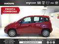Fiat Panda S9 1.0 Hybrid Panda - PROMO LUGLIO + TARGA Rosso - thumbnail 1