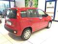 Fiat Panda S9 1.0 Hybrid Panda - PROMO LUGLIO + TARGA Rosso - thumbnail 8