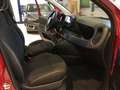 Fiat Panda S9 1.0 Hybrid Panda - PROMO LUGLIO + TARGA Rosso - thumbnail 13