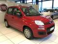 Fiat Panda S9 1.0 Hybrid Panda - PROMO LUGLIO + TARGA Rosso - thumbnail 5
