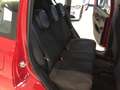 Fiat Panda S9 1.0 Hybrid Panda - PROMO LUGLIO + TARGA Rosso - thumbnail 15