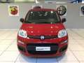 Fiat Panda S9 1.0 Hybrid Panda - PROMO LUGLIO + TARGA Rosso - thumbnail 4