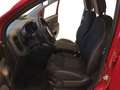 Fiat Panda S9 1.0 Hybrid Panda - PROMO LUGLIO + TARGA Rosso - thumbnail 12