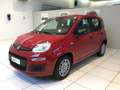 Fiat Panda S9 1.0 Hybrid Panda - PROMO LUGLIO + TARGA Rosso - thumbnail 3