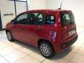 Fiat Panda S9 1.0 Hybrid Panda - PROMO LUGLIO + TARGA Rosso - thumbnail 6