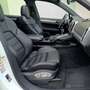 Porsche Cayenne Diesel Aut. Blanco - thumbnail 19