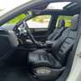 Porsche Cayenne Diesel Aut. Blanco - thumbnail 15