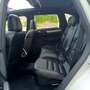 Porsche Cayenne Diesel Aut. Blanco - thumbnail 22