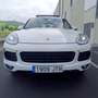 Porsche Cayenne Diesel Aut. Blanco - thumbnail 2