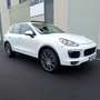 Porsche Cayenne Diesel Aut. Blanco - thumbnail 4