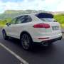 Porsche Cayenne Diesel Aut. Blanco - thumbnail 12
