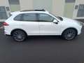 Porsche Cayenne Diesel Aut. Blanco - thumbnail 7