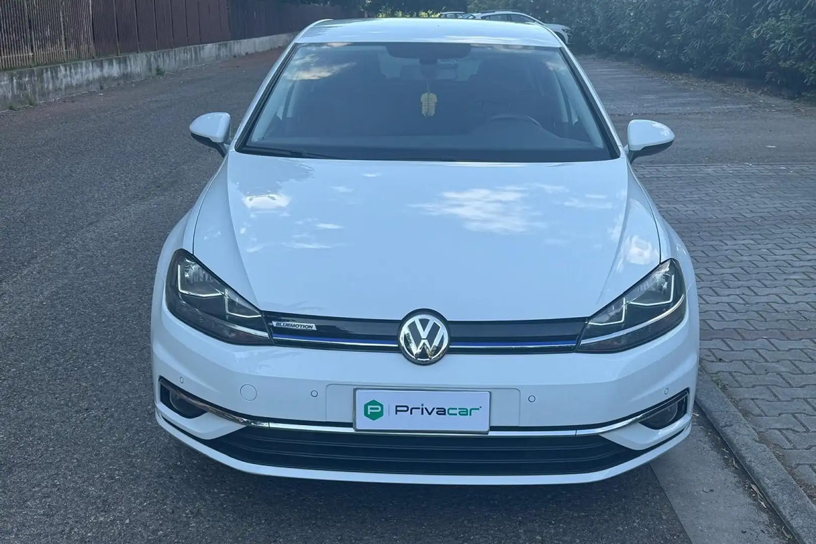 Volkswagen Golf Golf 1.5 TSI 130 CV EVO 5p. Business BlueMotion Blanco - 2