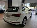 Audi Q5 2.0 TDI 143cv Ambiente Weiß - thumbnail 3